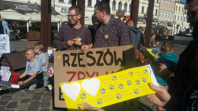 Zerwijmy łańcuchy! W weekend na rzeszowskim Rynku odbył się ważny happening