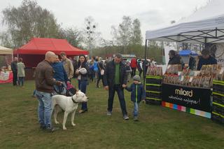 39 Krajowa Wystawa Psów Rasowych Gliwice 2017