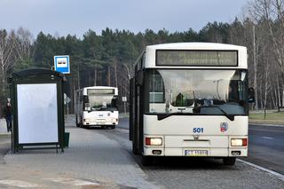 W Toruniu będą nowe autobusy hybrydowe. Szykują się zakupy