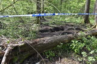Seniorka wyszła i długo nie wracała. 88-latkę znaleziono w lesie