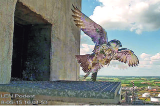 ORLEN nie tylko dla orłów