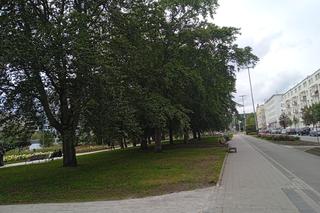 Park centralny w Gdyni. Atrakcje dla dzieci i dorosłych