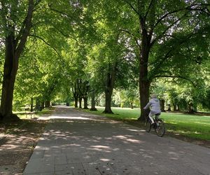 Park Miejski w Zamościu