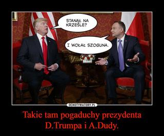 Trump w Polsce: MEMY