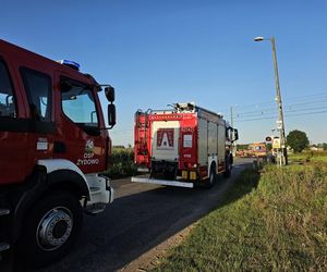 Tragedia na przejeździe kolejowym pod Gnieznem. Nie żyje kierowca osobówki!