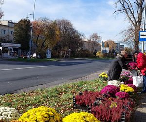 Przygotowania do Wszystkich Świętych Zamość