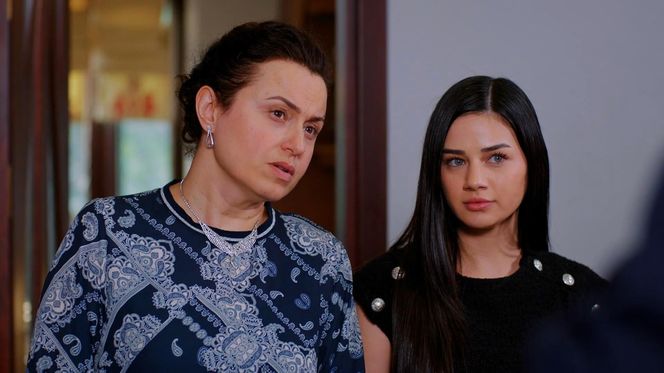 Miłość i nadzieja odc. 282. Cavidan, Bahar