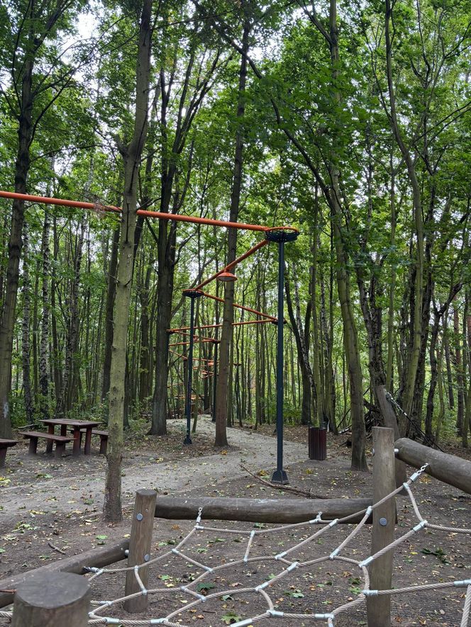 Park Leśny na Oksywiu, Gdynia