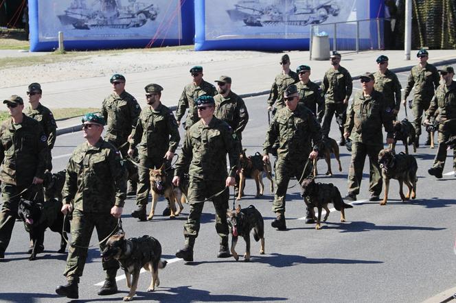 Zołnierze WP z psami