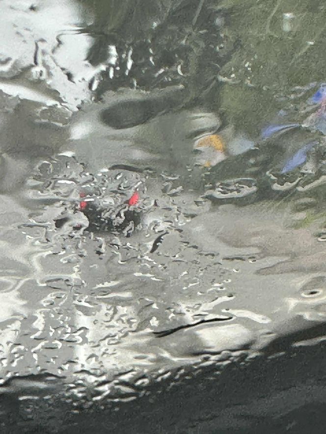 Deszczowe lato i drożyzna zniechęcają Polaków do wakacji. Turyści i przedsiębiorcy apelują o wsparcie