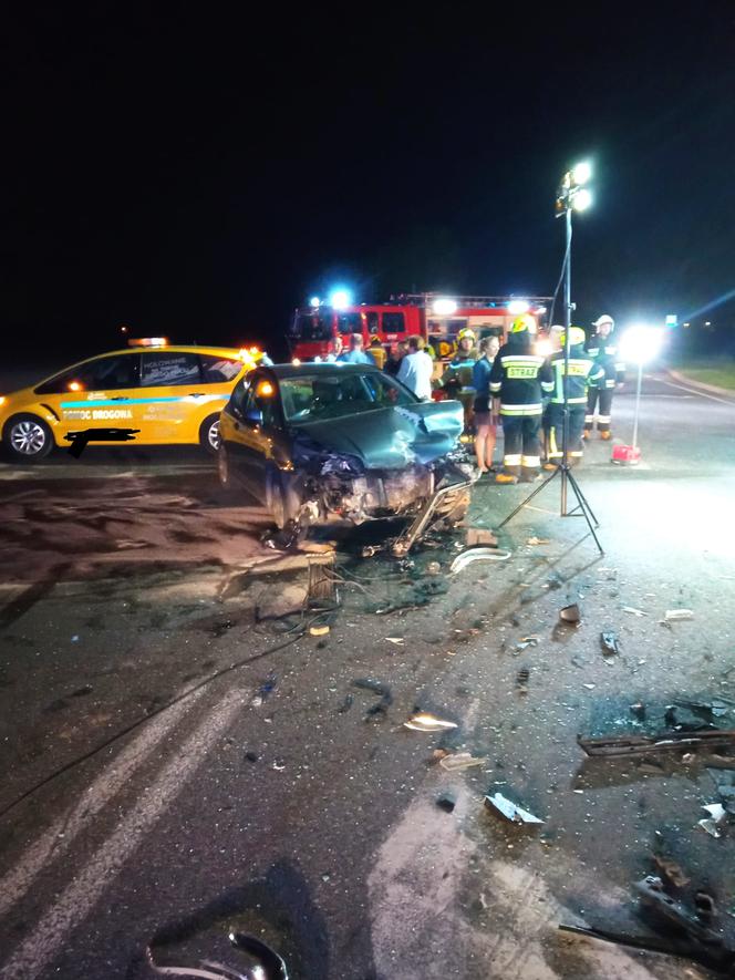 Wielkopolskie: Pięć osób rannych w nocnym wypadku na DK 11 