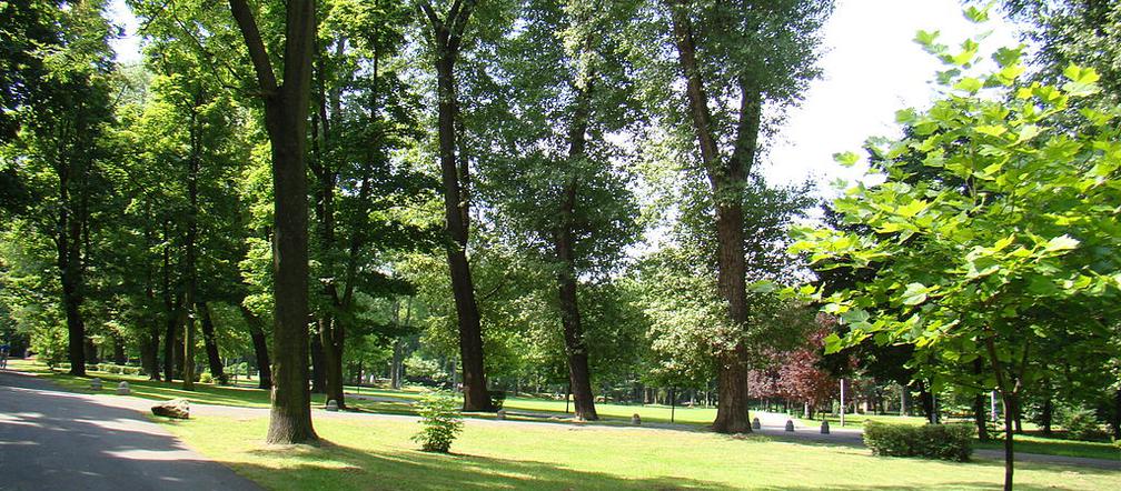 Park Kościuszki