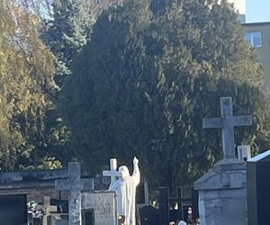 Zapomniany cmentarz w Lublinie zachwyca pięknem i historią. Ma już ponad 150 lat