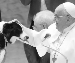 Papież Franciszek nie żyje.