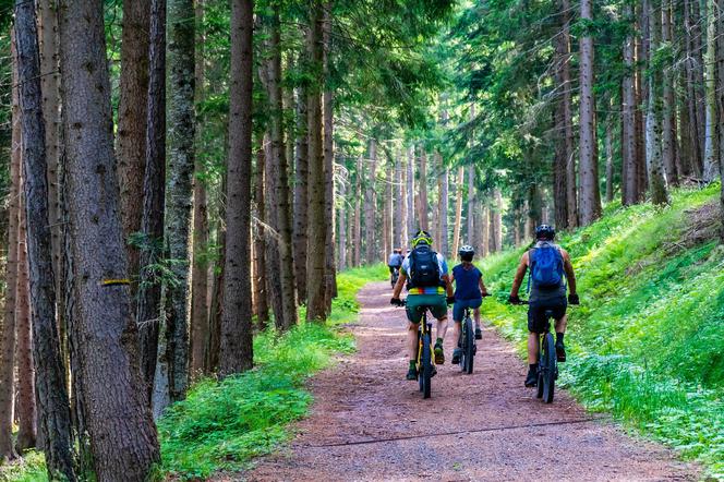 Dare To Be Maraton MTB Wierzchosławice 2020. Leśne ściganie na rowerach górskich [AUDIO]