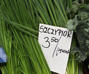  Ceny nowalijek na warszawskich bazarach szokują. Byliśmy i sprawdziliśmy ile trzeba zapłacić