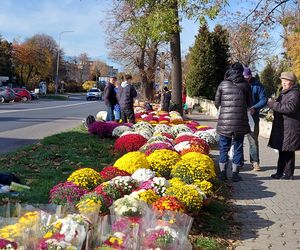 Przygotowania do Wszystkich Świętych Zamość