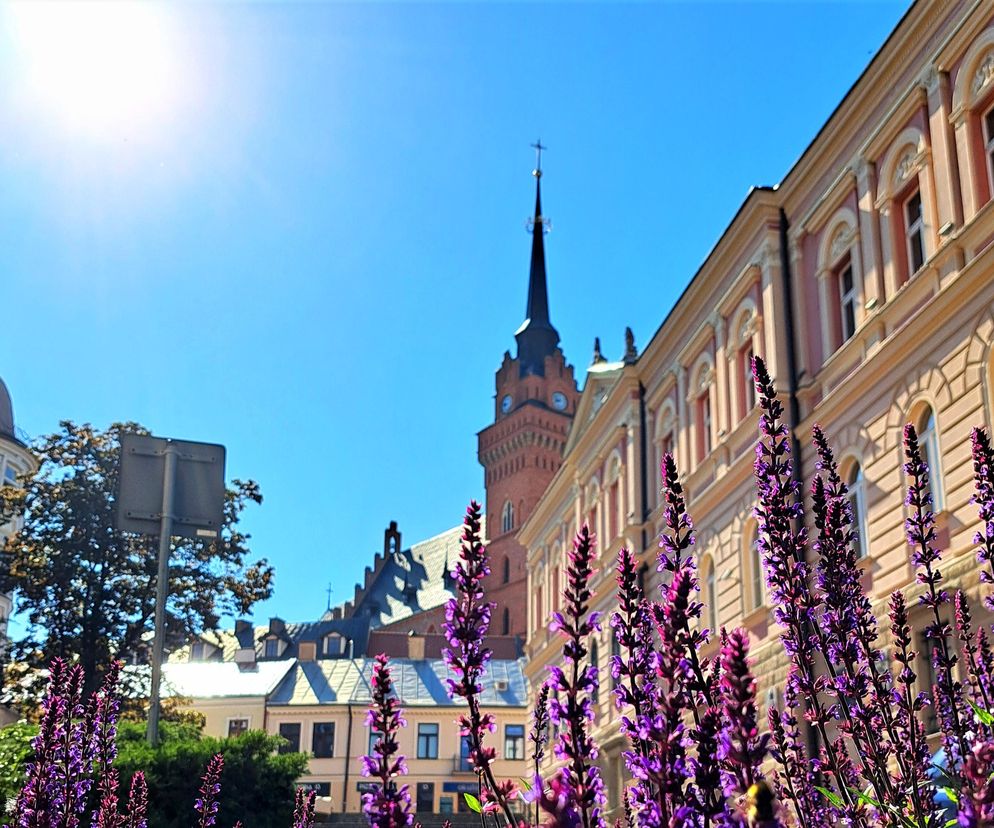 Tarnów upały