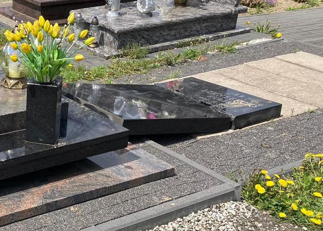 Szok! Kilkadziesiąt zdewastowanych nagrobków na cmentarzu w Piekarach Śląskich 