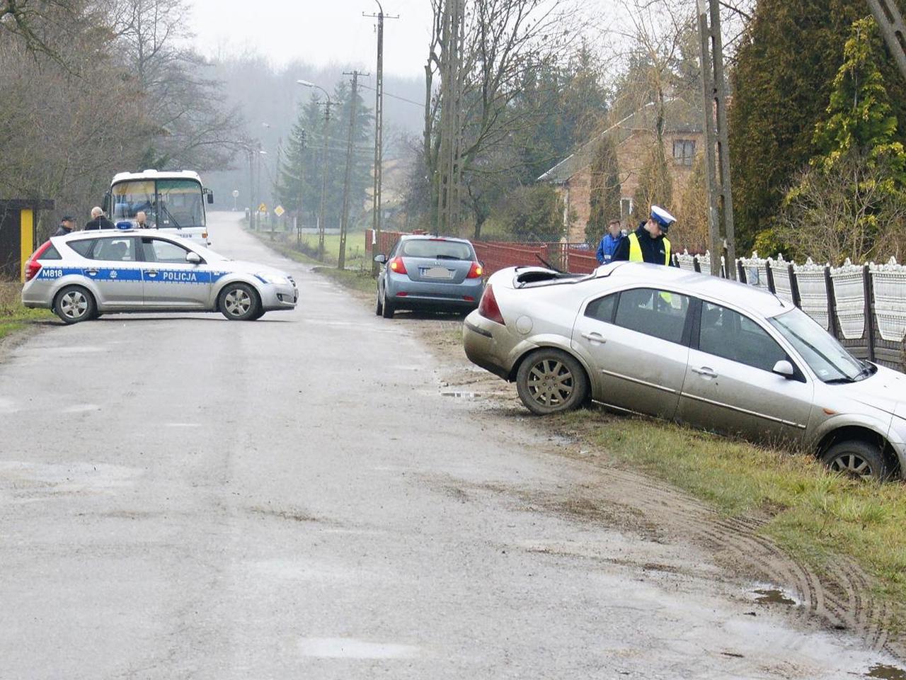 Pijany kierowca ściął słup elektryczny - prąd zabił 27 krów! [ZDJĘCIA]