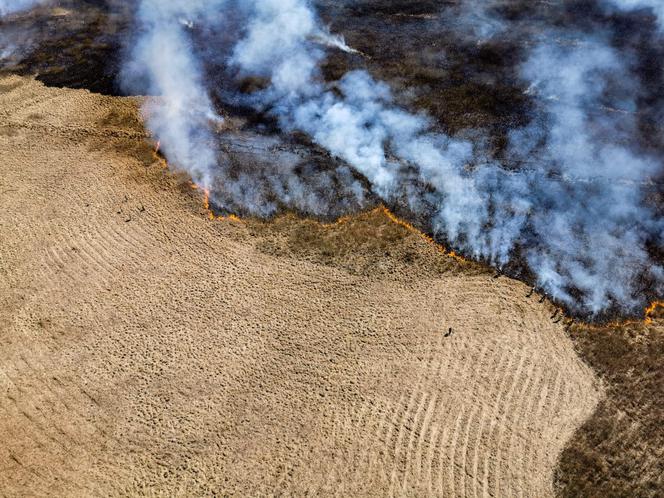 Pożar w Biebrzańskim Parku Narodowym. Zdjęcia z lotu ptaka pokazują skalę katastrofy [GALERIA]