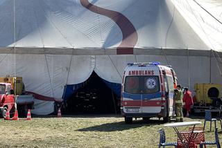 Pruszków: Wypadek w cyrku. Akrobaci trafili do szpitala 