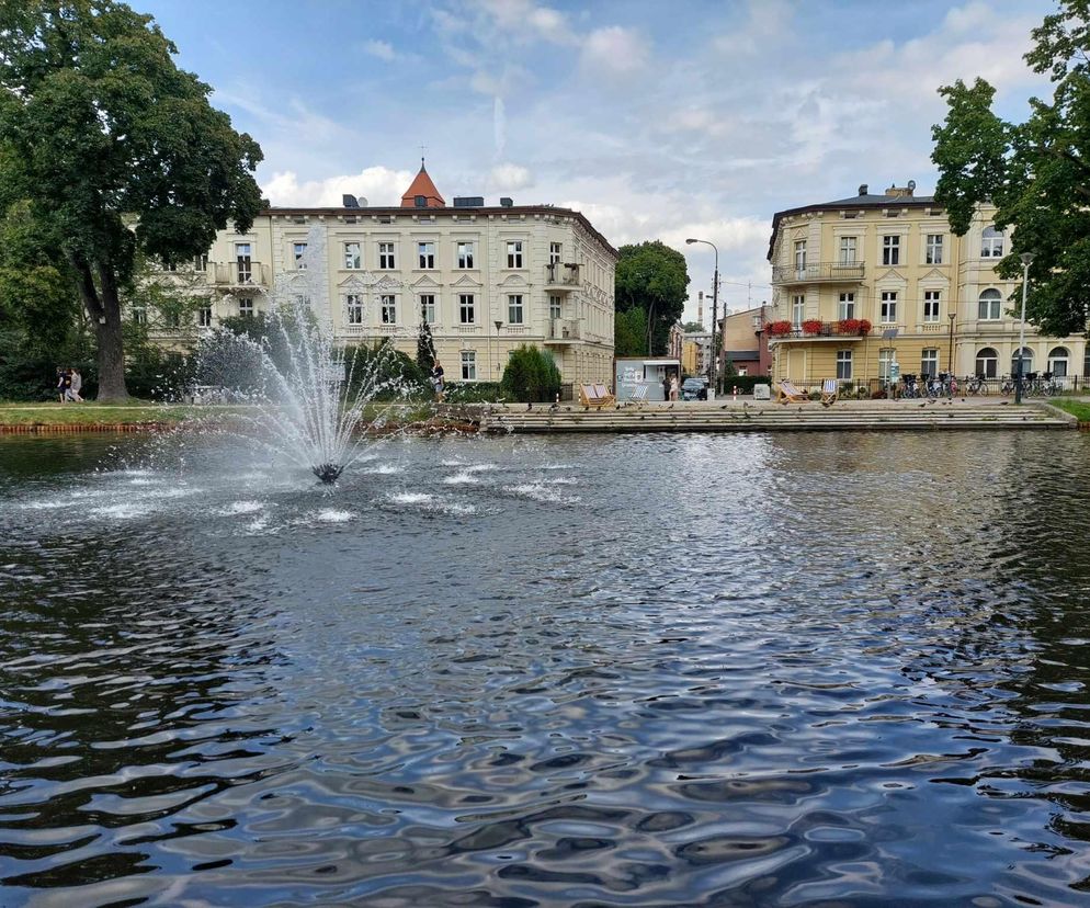 W Bydgoszczy i okolicach przez tydzień wiele możemy mieć za półdarmo! Rusza kolejna akcja Metropolia za pół ceny