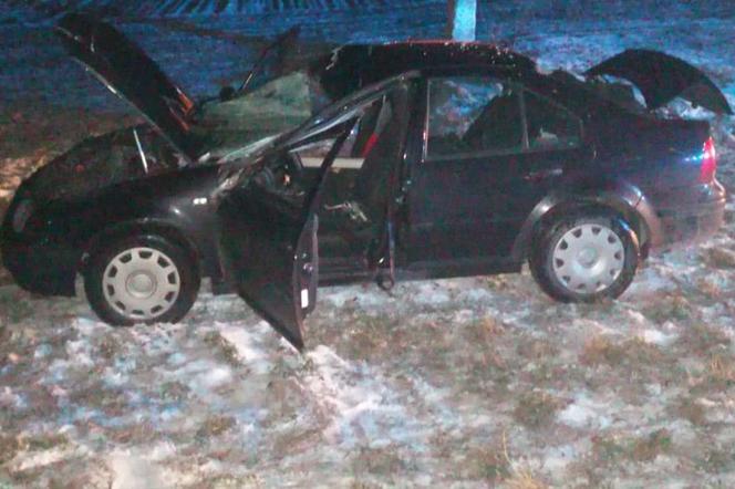 Wielkie zwierzę wtargnęło na jezdnię! Kierująca autem nie zdążyła uciec