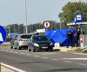 Zwłoki noworodka w reklamówce w koszu na śmieci. Wstrząsające odkrycie na przystanku pod Warszawą