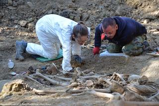 Wiemy, ile szkieletów wykopano na Górkach Czechowskich
