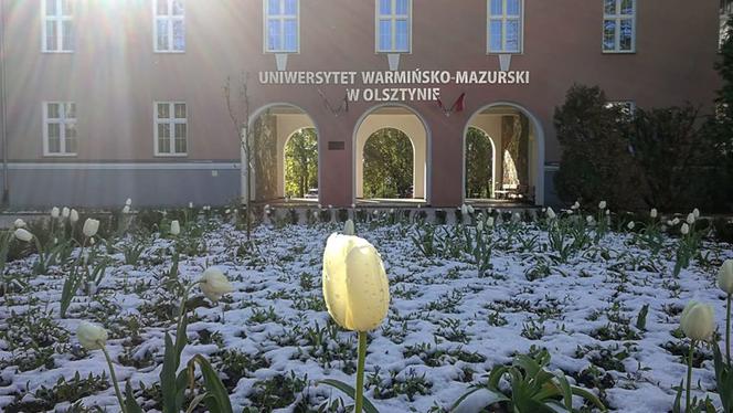 Śnieg na Warmii i Mazurach