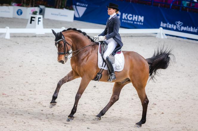 Czas start… Zbliża się Cavaliada na COS Torwar!