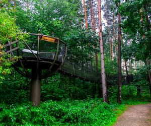 Spacer w koronach drzew Pomiechówek Park Doliny Wkry