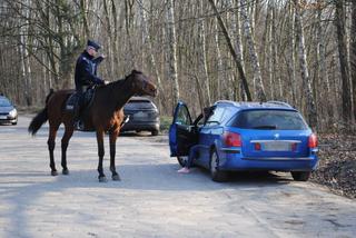 Zakaz zgromadzeń w czasie zarazy koronawirusa. Policja nałożyła kilkadziesiąt mandatów