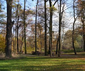 Pałac w Baranowicach jesienią