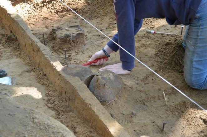 Archeolodzy zakończyli wykopaliska na Mazurach. Co udało im się odkryć? [ZDJĘCIA]