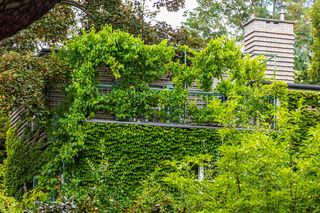 Willa Romualda Gutta na Kolonii Profesorskiej w Warszawie