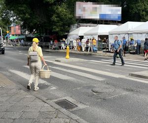Europosłanka Wcisło buszuje na bazarku.