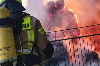 Potężny pożar w Cichoradzu pod Toruniem. Zdjęcia z akcji strażaków 