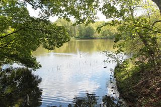 To najpiękniejszy park w Warszawie. Mieszkańcy sami wskazali zwycięzcę rankingu