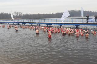 Morsy zbierały w lodowatej wodzie na rzecz iławskiego schroniska