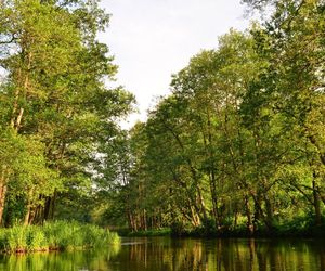 Najlepsze trasy wodne na Podlasiu na letni weekend