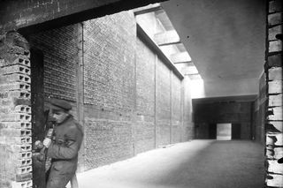 Najstarsze i największe muzeum narodowe w Polsce leży w Małopolsce. Utworzono je 145 lat temu [GALERIA]