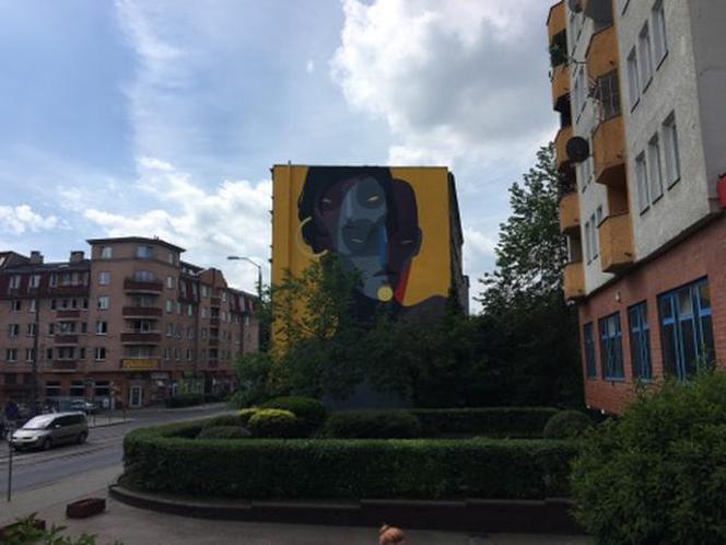 Nowe murale na Pomorzanach