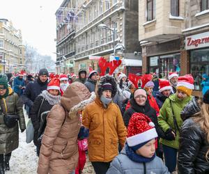 Parada w Mikołajów w Chorzowie na koniec Mikołajowego Festiwalu Czekolady z... owadami