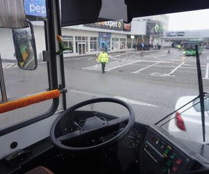 Katarzynki 2024 - wystawa autobusów przy Galerii Panorama