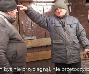 Rolnicy. Podlasie. Gienek i Sławek karmią zwierzęta.  A nie przestraszą się ciebie krowy?