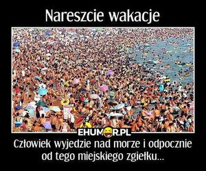 Najlepsze memy o wakacjach nad polskim morzem