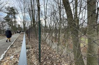 Remont Parku Bednarskiego w Krakowie