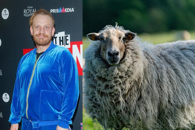 Bartosz Żukowski ukradł owce?